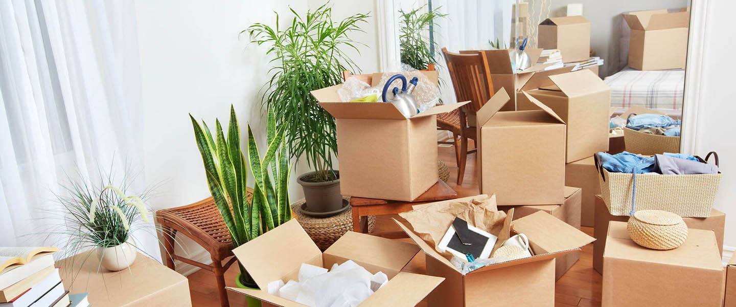 , movers and packers in Gurugram 